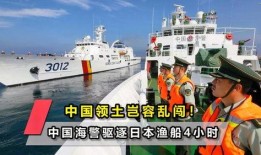 海洋最新爆料消息视频播放,揭秘神秘水下世界奇观