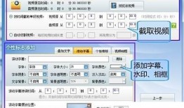 1796在线观看,穿越时空的冒险之旅