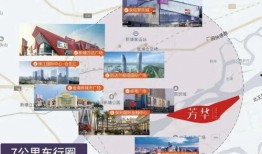 中实学校爆料视频大全,揭秘校园风云录