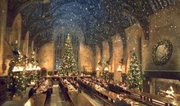 哈利波特圣诞节爆料最新,神秘新角色揭晓，魔法世界再掀波澜