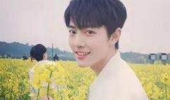 圈内爆料杨紫肖战候场,神秘互动引热议