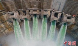 中实学校爆料视频大全,揭秘校园风云录