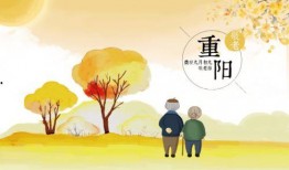 重阳节爆料视频,传统节日背后的温馨故事与习俗传承