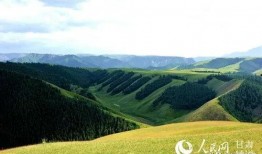 爆料祁连山的新闻媒体,媒体曝光惊人真相