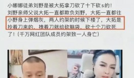 蔡小楼爆料刘野致死视频,视频曝光背后的惊人内幕