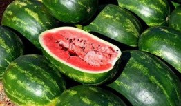 情侣网红吃瓜图片,甜蜜互动引网友热议