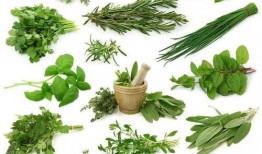 野菜生活爆料怎么做的视频