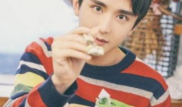 娱乐吃瓜君张新成,娱乐吃瓜界的“瓜王”崛起之路