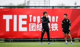 旅客爆料国足视频播放,国足比赛视频播放疑现意外状况，引发热议