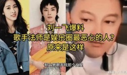 娱乐圈爆料歌曲有哪些,揭秘明星私生活背后的旋律