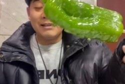 情侣网红吃瓜图片,甜蜜互动引网友热议