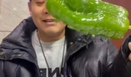 情侣网红吃瓜图片,甜蜜互动引网友热议