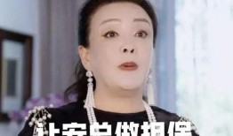 张兰在网上爆料视频大全,揭秘背后真相与争议