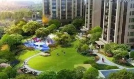 成都公园爆料视频大全,探寻城市绿洲中的生活百态