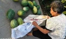 介休吃瓜最新事件爆料