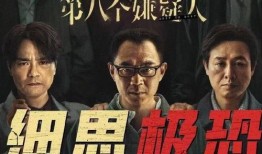 人八在线观看,揭秘神秘数字背后的故事