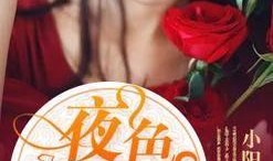 夜色撩人在线观看完整,沉浸式悬疑剧情，揭秘都市迷影