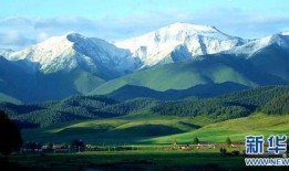 爆料祁连山的新闻媒体,媒体曝光惊人真相