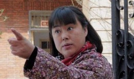 李菁菁网红爆料事件视频,揭秘背后真相与争议