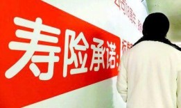 8月哈利法杖爆料新闻,神秘力量觉醒，魔法世界再掀波澜