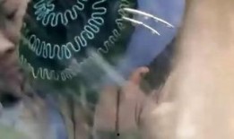 青蛇 在线观看,千年情缘，妖娆舞动