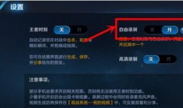 王者快手爆料视频大全,揭秘游戏幕后精彩瞬间