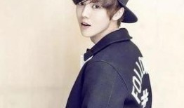 黄子诚爆料鹿晗视频播放,揭秘娱乐圈幕后真相