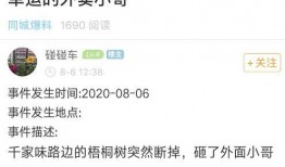 重庆爆料小哥是谁啊最新消息,揭秘网络红人背后的故事