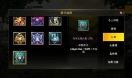 刺激战场s8爆料视频,全新内容与玩法大揭秘