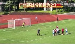 辽宁爆料假球视频最新网站,揭秘足球黑幕，最新网站揭露惊人真相