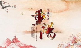 重阳节爆料视频,传统节日背后的温馨故事与习俗传承