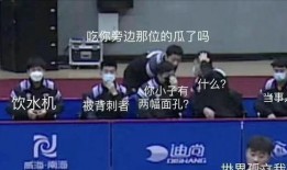 娱乐吃瓜男团团队,揭秘娱乐圈幕后风云