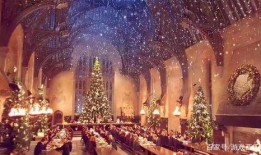 哈利波特圣诞节爆料最新,神秘新角色揭晓，魔法世界再掀波澜