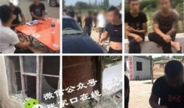 蔡塘拆迁爆料事件视频,真相与争议交织