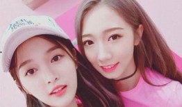 四四爆料佳欣视频,四四爆料背后的惊人真相