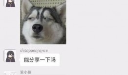 甜水小哥爆料视频在线观看