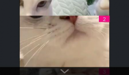 猪头八卦爆料怎么做视频,揭秘视频制作背后的秘密