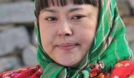 李菁菁网红爆料事件视频,揭秘背后真相与争议