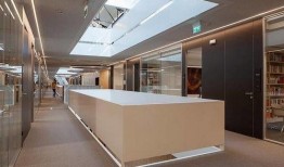 美国办公室爆料案例视频,美国真实爆料案例视频深度解析