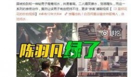 沈阳老舅爆料视频最新,独家内幕引发热议