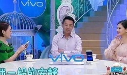 张兰爆料汪小菲被打视频,真相背后引热议