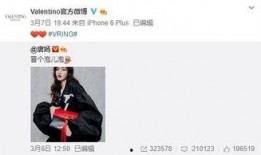 csgc最新爆料,揭秘神秘项目背后的科技革命