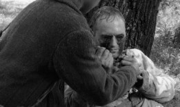 放荡的妇人在线观看,一场禁忌的欲望之旅