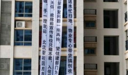 玉林碧桂园爆料事件视频,揭露惊人内幕