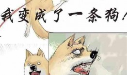 重生文里吃瓜小说免费阅读,吃瓜小说家的逆袭之路