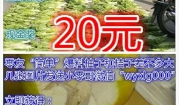 哪里爆料新闻有钱,有钱背后的新闻爆料真相