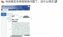 娱乐圈爆料找谁举报,揭秘如何正确举报娱乐圈内幕