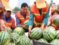 郯城吃瓜最新事件爆料视频,最新爆料视频揭露惊人真相