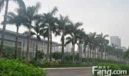 江门蓬江区爆料案件最新,警方紧急提醒市民防范！