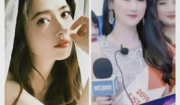 网红闺蜜爆料视频大全,揭秘娱乐圈幕后真相